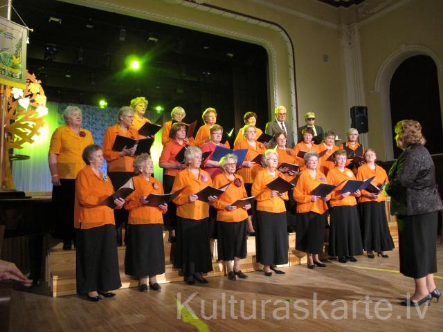 Valkas senioru koris Dziesmu rota